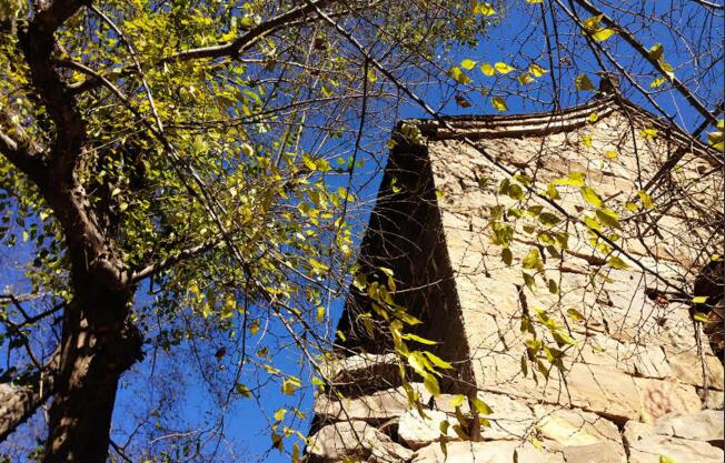 QQ truncation chart 20160815100643